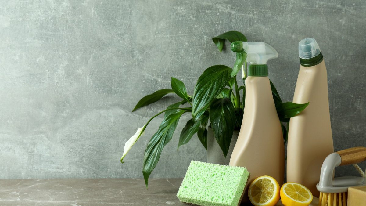 Cleaning supplies, including spray bottles, wipes and a brush, on a table with a green plant in a pot.