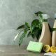 Cleaning supplies, including spray bottles, wipes and a brush, on a table with a green plant in a pot.